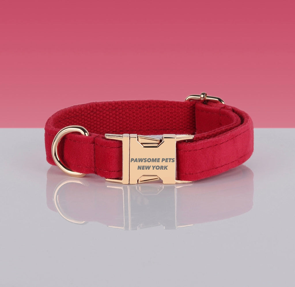 Collar Premium Estampado Nº 23 para Perros