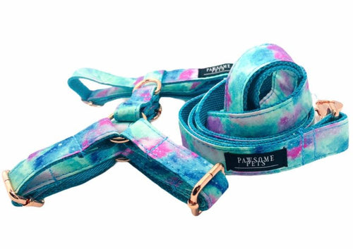 Arnés Premium Azul Cielo para Perros