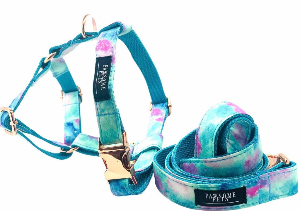 Arnés Premium Azul Cielo para Perros