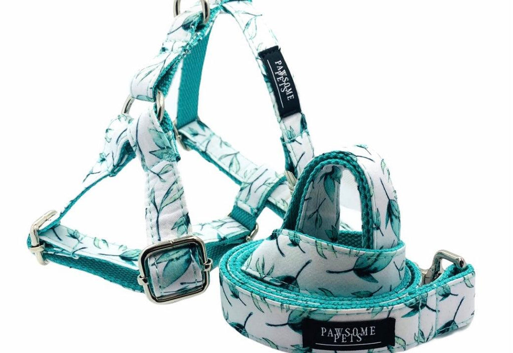 Arnés Premium Verde Menta para Perros
