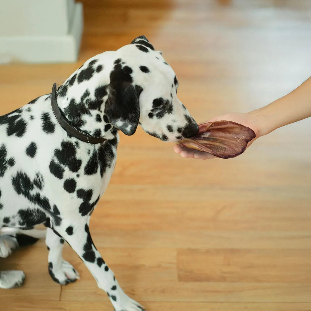 Pack de Snacks Naturales para Perros Grandes – 1,5 kg