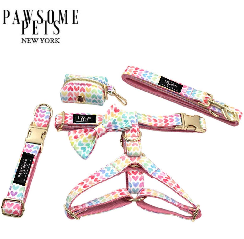 Pack Premium de Paseo Rainbow – 5 Piezas