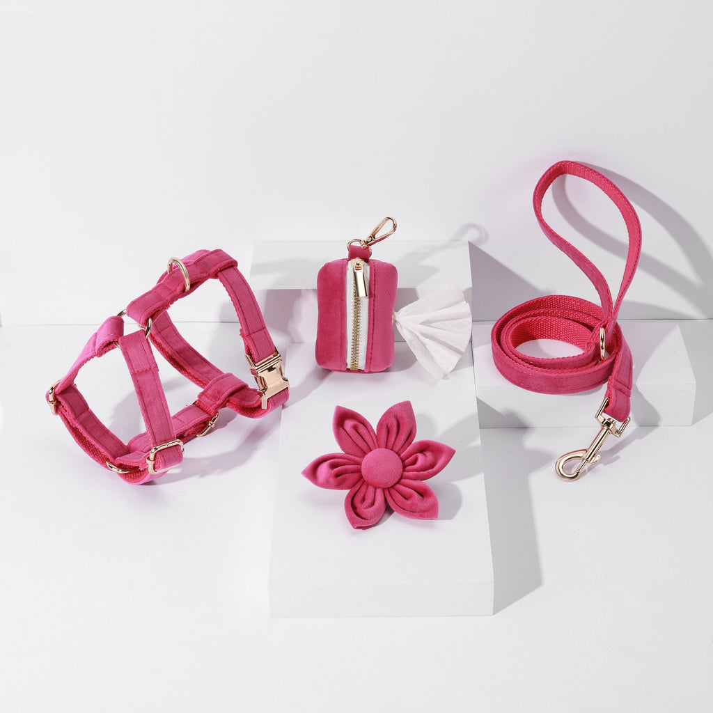 Pack Premium de Paseo Rosa – 4 Piezas