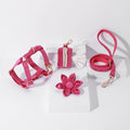 Pack Premium de Paseo Rosa – 4 Piezas