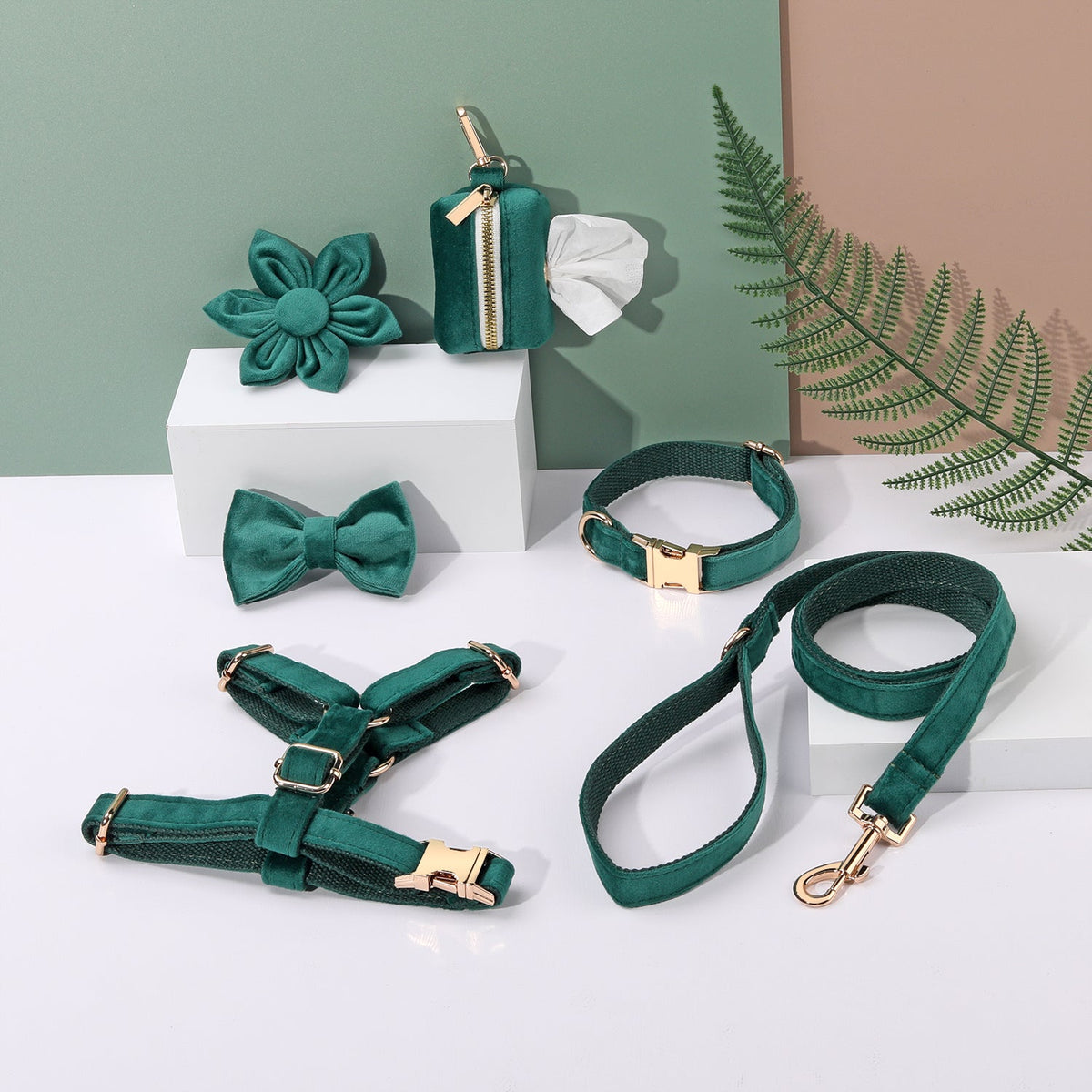 Pack Premium de Paseo Verde Oscuro – 6 Piezas