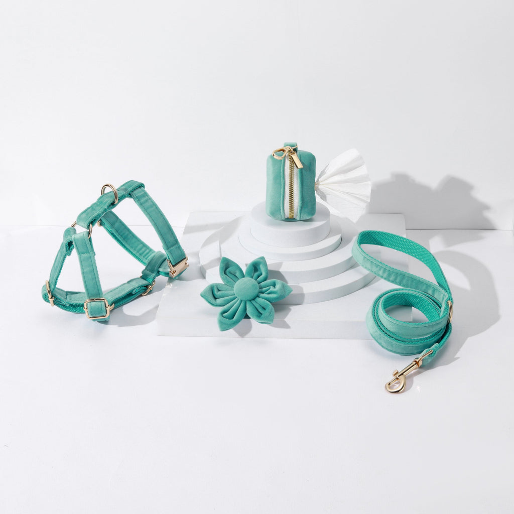 Pack Premium de Paseo Verde – 4 Piezas