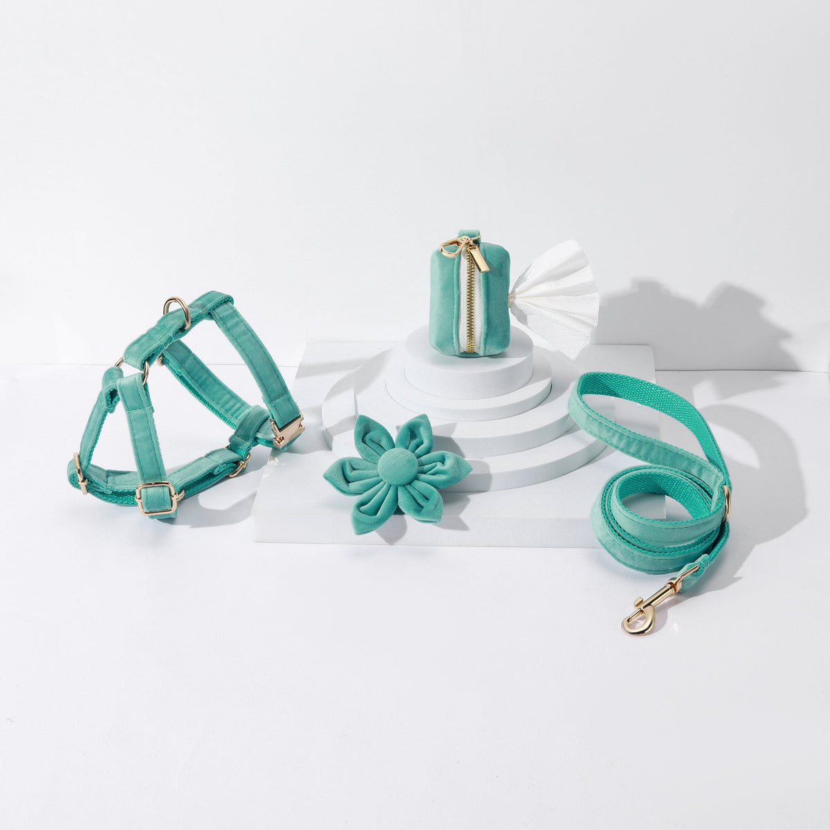 Pack Premium de Paseo Verde – 4 Piezas