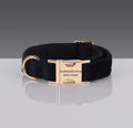 Collar Premium Estampado Nº 9 para Perros