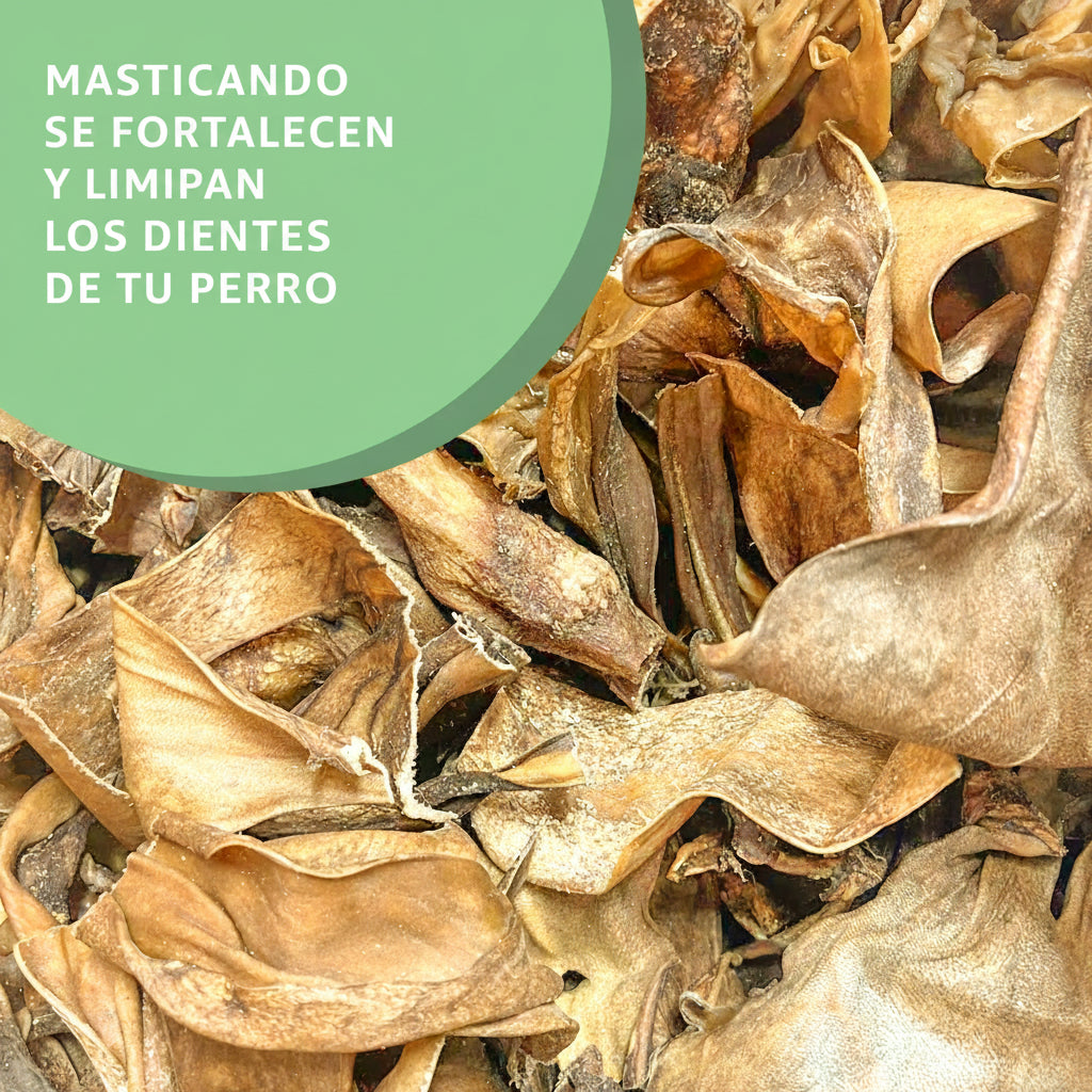 Piel de Cordero – Masticable Natural para Perros