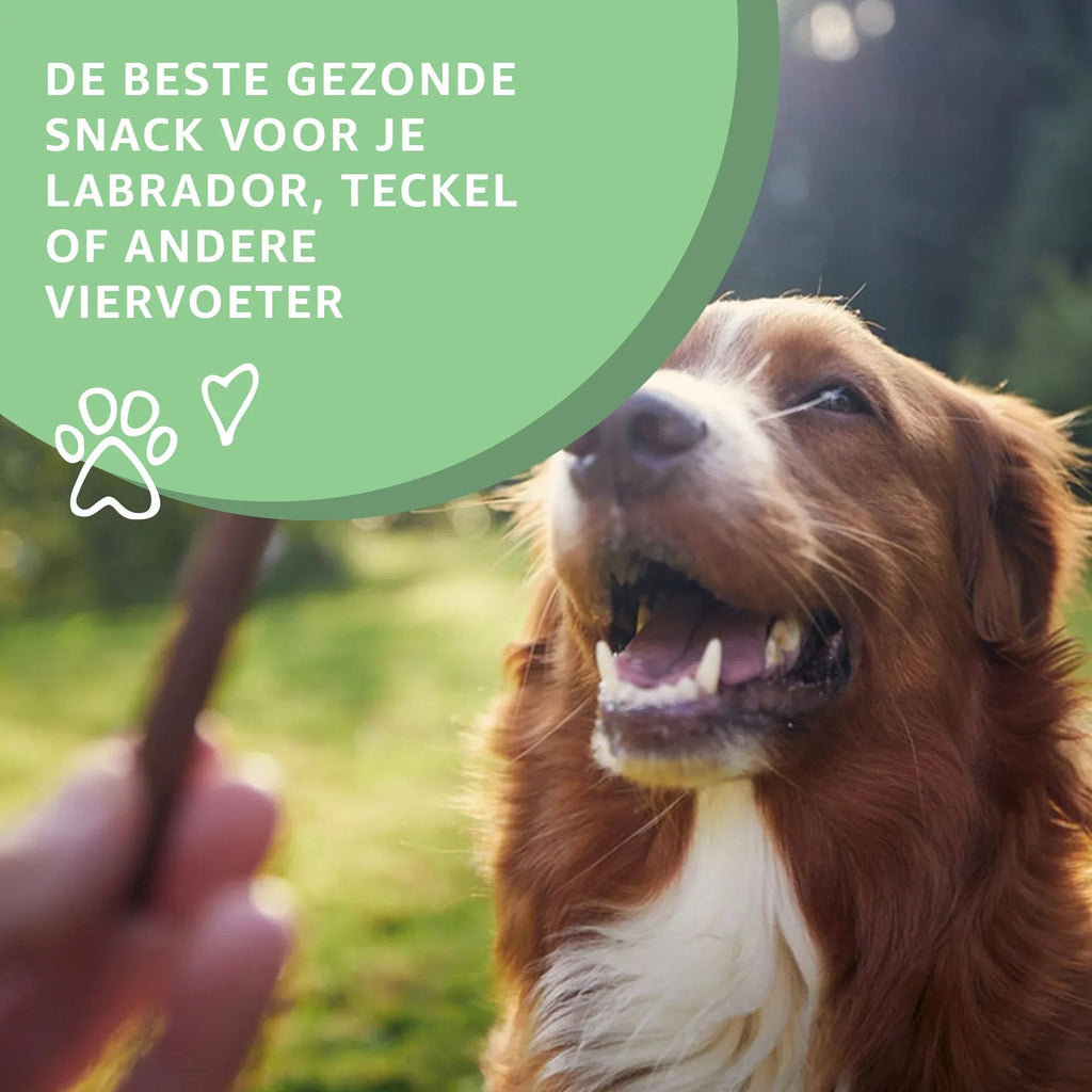 Tiras de Pavo – Snack Natural para Perros