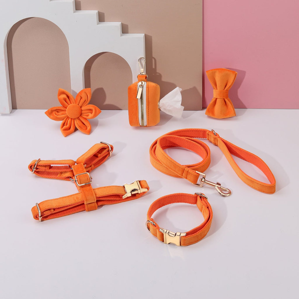 Pack Premium de Paseo Naranja – 6 Piezas