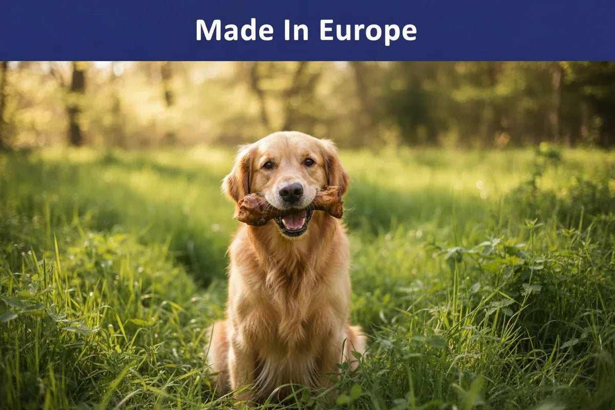 Hueso de Vacuno – Masticable Natural para Perros