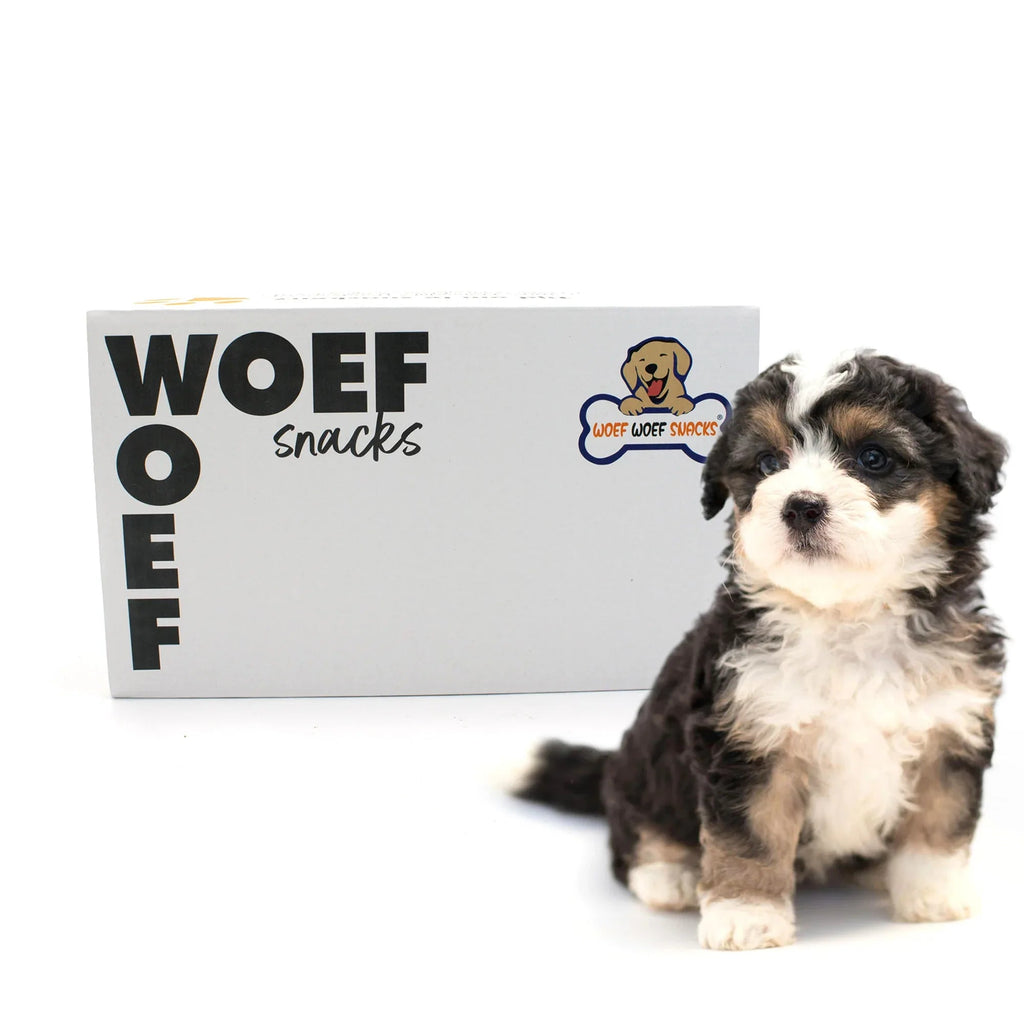 MimoCan Puppy Box | Pack de Snacks Naturales para Cachorros