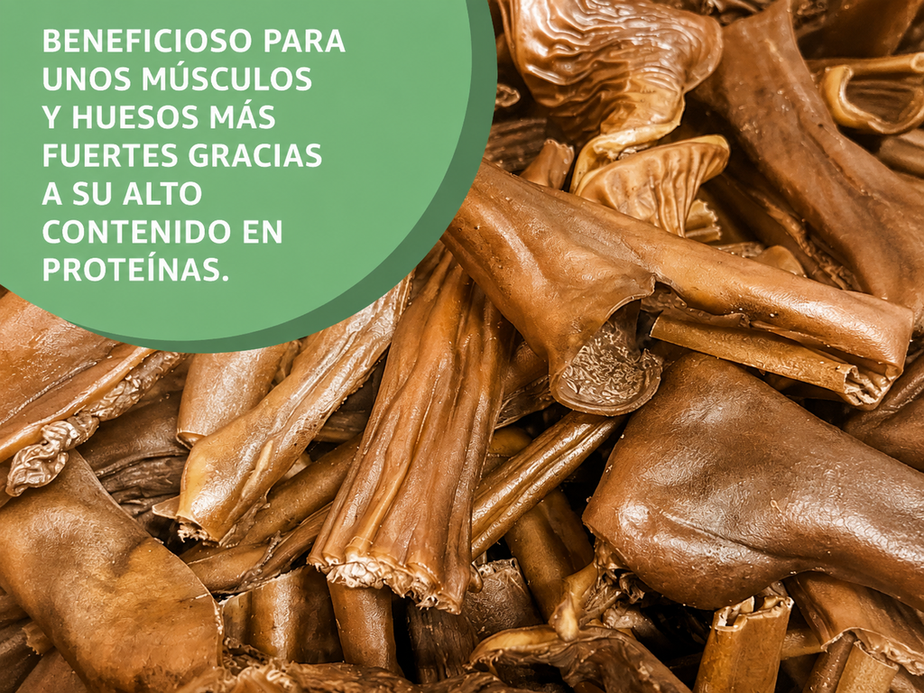 Piel de Caballo Deshidratada – Snack Natural para Perros